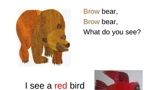 Brownbear绘本课件.ppt
