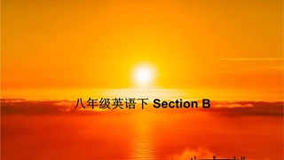 八年级英语下SectionB