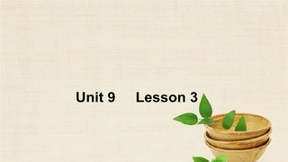 Unit9Lesson3课件1