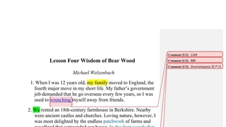 Lesson 4 Wisdom of Bear Wood.doc