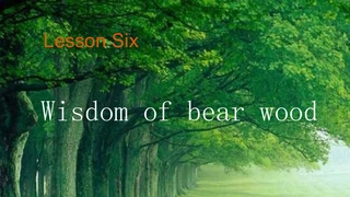 Unitwisdomofbearwood熊树林的智慧