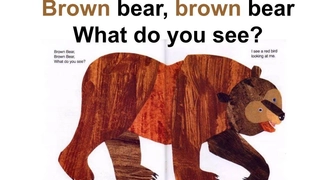 英语brown-bear-教学提纲
