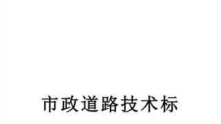 市政道路技术标