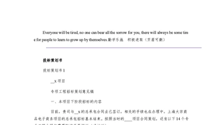 投标策划书